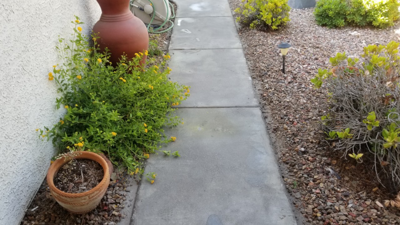 concrete-walkway-restoration--before-03